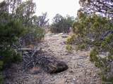 2 Red Creek Springs Rd - Photo 22