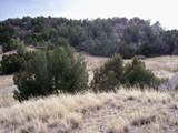 2 Red Creek Springs Rd - Photo 4