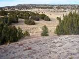 2 Red Creek Springs Rd - Photo 8