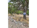 150 Lake Of The Falls Pkwy - Photo 2