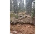 235 Hay Creek Rd - Photo 12