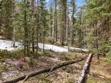 464 Bison Creek Trl - Photo 1