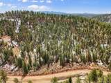 464 Bison Creek Trl - Photo 6