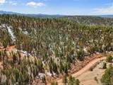 464 Bison Creek Trl - Photo 8