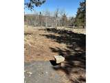 4612 Campfire Rd - Photo 15