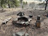 4612 Campfire Rd - Photo 4