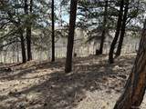 4612 Campfire Rd - Photo 5