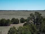  Mallory Dr - Photo 10