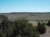  Mallory Dr - Photo 11