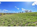 7402 76th Ave - Photo 2