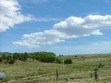373 Deer Springs Cir - Photo 3