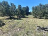 2049 Indian Well Overlook - Photo 3