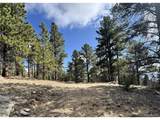 30317 Aspen Turn - Photo 1