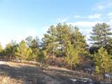2366 Lupine Cir - Photo 1