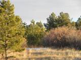2366 Lupine Cir - Photo 3