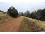 1620 Park Ridge Dr - Photo 1
