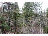 1620 Park Ridge Dr - Photo 10