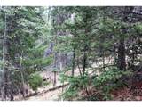 1620 Park Ridge Dr - Photo 11