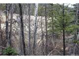 1620 Park Ridge Dr - Photo 12