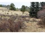 1620 Park Ridge Dr - Photo 13
