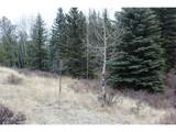 1620 Park Ridge Dr - Photo 4
