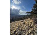 4513 Middle Fork Vis - Photo 13