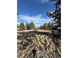 4513 Middle Fork Vis - Photo 16