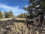 4513 Middle Fork Vis - Photo 6