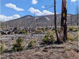 1994 Hilda Ln - Photo 1