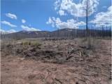 1994 Hilda Ln - Photo 2
