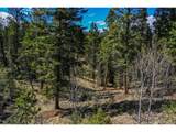 360 Tejon Creek Trl - Photo 11