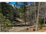 360 Tejon Creek Trl - Photo 12