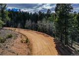 360 Tejon Creek Trl - Photo 14