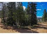 360 Tejon Creek Trl - Photo 16