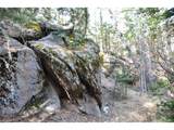 360 Tejon Creek Trl - Photo 19