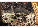 360 Tejon Creek Trl - Photo 20