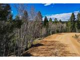 360 Tejon Creek Trl - Photo 3