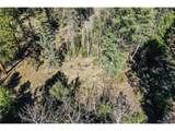 360 Tejon Creek Trl - Photo 5
