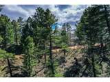 360 Tejon Creek Trl - Photo 6