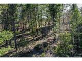 360 Tejon Creek Trl - Photo 7