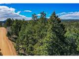 360 Tejon Creek Trl - Photo 8