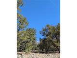 2202 Spanish Creek Rd - Photo 11