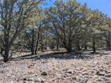 2202 Spanish Creek Rd - Photo 12
