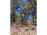 2202 Spanish Creek Rd - Photo 14