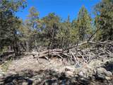 2202 Spanish Creek Rd - Photo 6