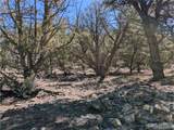 2202 Spanish Creek Rd - Photo 7
