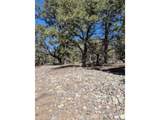 2202 Spanish Creek Rd - Photo 8