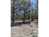2202 Spanish Creek Rd - Photo 9