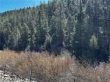 223 Hwy 160 - Photo 3