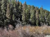 223 Hwy 160 - Photo 4